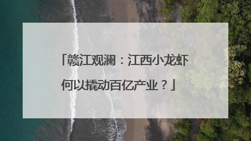 赣江观澜：江西小龙虾何以撬动百亿产业？