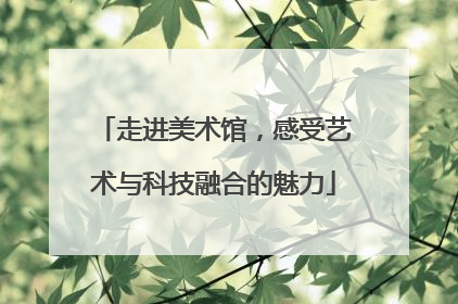 走进美术馆，感受艺术与科技融合的魅力