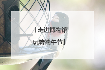 走进博物馆 玩转端午节