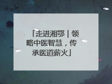 走进湘鄂｜领略中医智慧，传承医道薪火