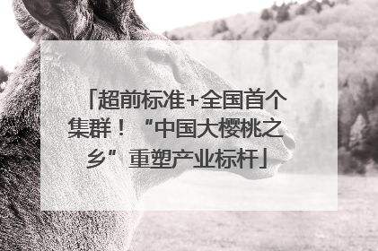 超前标准+全国首个集群！“中国大樱桃之乡”重塑产业标杆