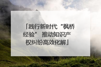 践行新时代“枫桥经验” 推动知识产权纠纷高效化解