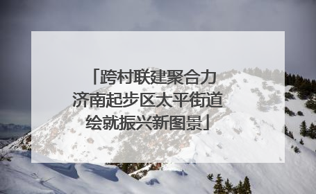 跨村联建聚合力 济南起步区太平街道绘就振兴新图景