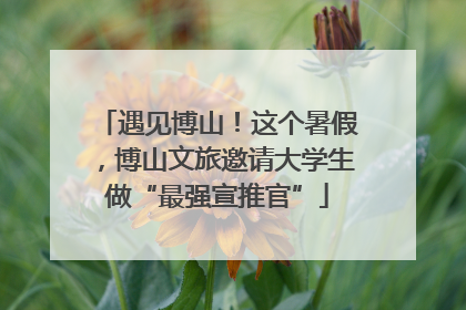 遇见博山！这个暑假，博山文旅邀请大学生做“最强宣推官”