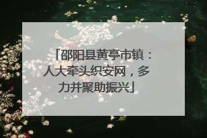 邵阳县黄亭市镇：人大牵头织安网，多力并聚助振兴
