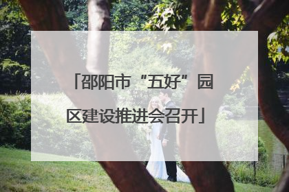邵阳市“五好”园区建设推进会召开