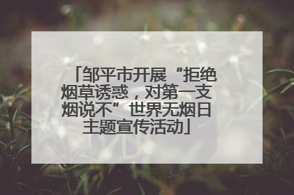邹平市开展“拒绝烟草诱惑，对第一支烟说不”世界无烟日主题宣传活动