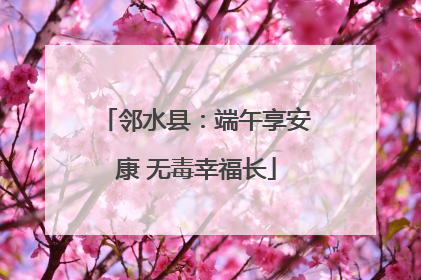 邻水县：端午享安康 无毒幸福长