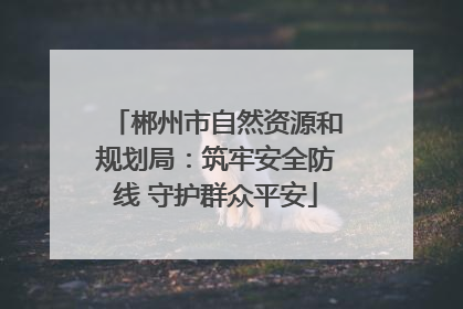郴州市自然资源和规划局：筑牢安全防线 守护群众平安