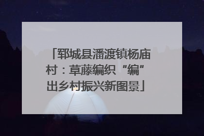郓城县潘渡镇杨庙村：草藤编织“编”出乡村振兴新图景