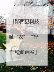 郧西县科技赋“农”“智”绘新画卷