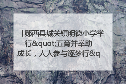 郧西县城关镇明德小学举行"五育并举助成长，人人参与逐梦行"庆六一活动