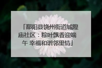 鄱阳县饶州街道城隍庙社区：粽叶飘香迎端午 幸福和谐邻里情