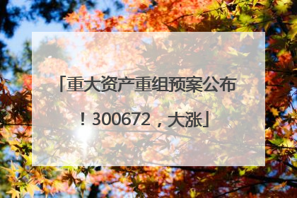 重大资产重组预案公布！300672，大涨