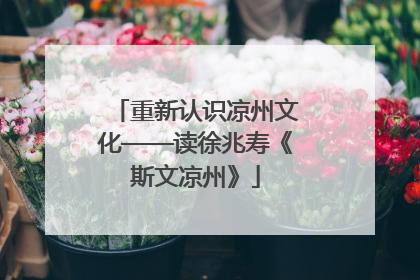 重新认识凉州文化——读徐兆寿《斯文凉州》