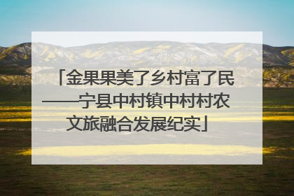 金果果美了乡村富了民——宁县中村镇中村村农文旅融合发展纪实