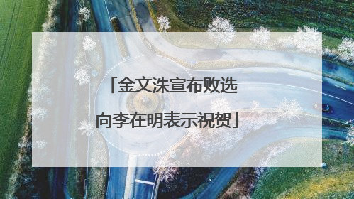 金文洙宣布败选 向李在明表示祝贺