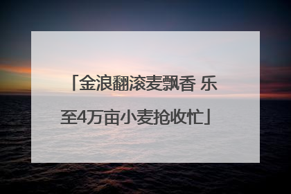 金浪翻滚麦飘香 乐至4万亩小麦抢收忙