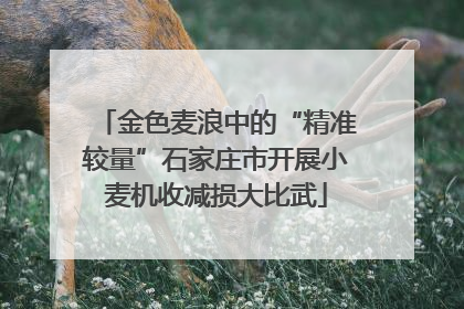 金色麦浪中的“精准较量”石家庄市开展小麦机收减损大比武