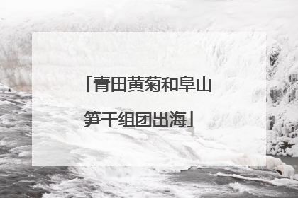 青田黄菊和阜山笋干组团出海