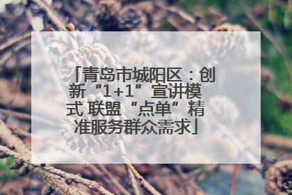 青岛市城阳区：创新“1+1”宣讲模式 联盟“点单”精准服务群众需求