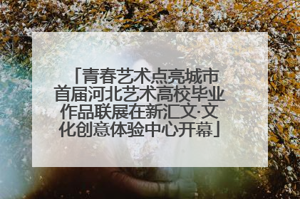 青春艺术点亮城市 首届河北艺术高校毕业作品联展在新汇文·文化创意体验中心开幕