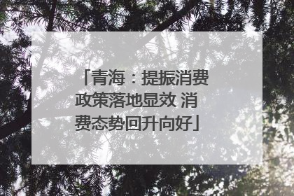 青海：提振消费政策落地显效 消费态势回升向好