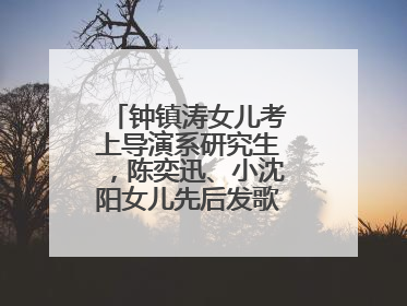 钟镇涛女儿考上导演系研究生，陈奕迅、小沈阳女儿先后发歌……星二代都来娱乐圈上班了