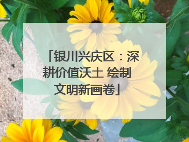 银川兴庆区：深耕价值沃土 绘制文明新画卷