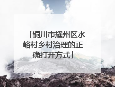 铜川市耀州区水峪村乡村治理的正确打开方式