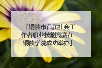 铜陵市首届社会工作者职业技能竞赛在铜陵学院成功举办
