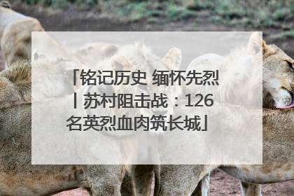 铭记历史 缅怀先烈丨苏村阻击战：126名英烈血肉筑长城