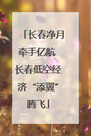 长春净月牵手亿航 长春低空经济“添翼”腾飞