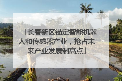 长春新区锚定智能机器人和传感器产业，抢占未来产业发展制高点