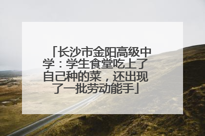 长沙市金阳高级中学：学生食堂吃上了自己种的菜，还出现了一批劳动能手