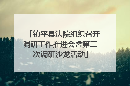 镇平县法院组织召开调研工作推进会暨第二次调研沙龙活动