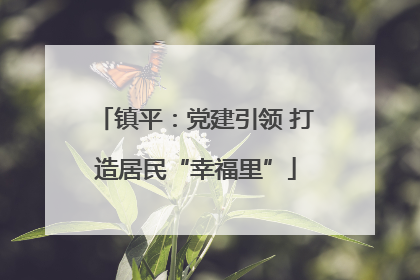 镇平：党建引领 打造居民“幸福里”
