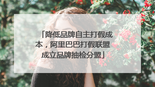 降低品牌自主打假成本，阿里巴巴打假联盟成立品牌抽检分盟