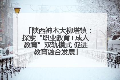陕西神木大柳塔镇：探索“职业教育+成人教育”双轨模式 促进教育融合发展