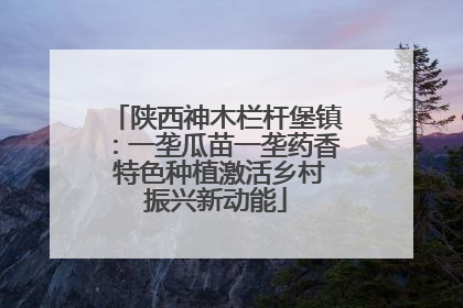 陕西神木栏杆堡镇：一垄瓜苗一垄药香 特色种植激活乡村振兴新动能