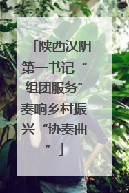 陕西汉阴第一书记“组团服务”奏响乡村振兴“协奏曲”