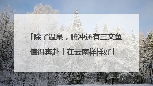 除了温泉，腾冲还有三文鱼值得奔赴丨在云南样样好