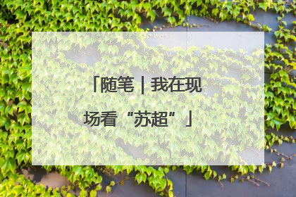 随笔｜我在现场看“苏超”