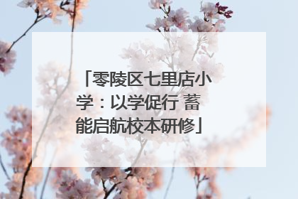 零陵区七里店小学：以学促行 蓄能启航校本研修