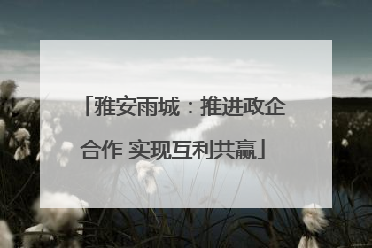 雅安雨城：推进政企合作 实现互利共赢