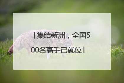 集结新洲，全国500名高手已就位