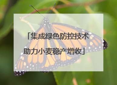 集成绿色防控技术助力小麦稳产增收