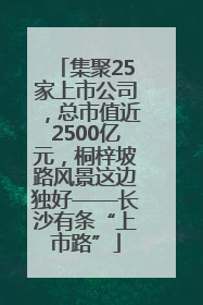 集聚25家上市公司，总市值近2500亿元，桐梓坡路风景这边独好——长沙有条“上市路”