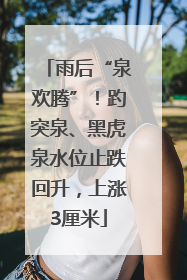 雨后“泉欢腾”！趵突泉、黑虎泉水位止跌回升，上涨3厘米