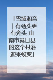 雪域湘音｜有劲头更有奔头 山南市桑日县的这个村落迎来蜕变